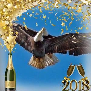 Meet your Posher, Doris